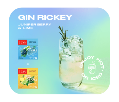 Oolong tea, rosemary, apple and juniper flavouring TESS Cocktail Box №4 piramids 20pcs. photo