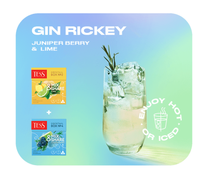 Herbal infusion with ginger, lemongrass and lime flavouring TESS Cocktail Box №2 piramids 20pcs. photo