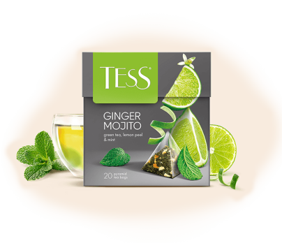 Green tea with lemon peel and mint TESS Ginger Mojito piramids 20pcs. photo