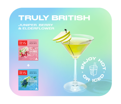 Oolong tea, rosehip, apple and elderberry flavouring TESS Cocktail Box №3 piramids 20pcs. photo