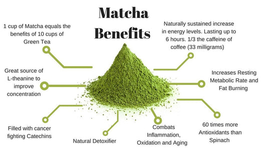 WHY THE ANTIOXIDANTS IN MATCHA ARE A MUST FOR A LONG LIFE