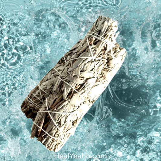 Traditional White Sage